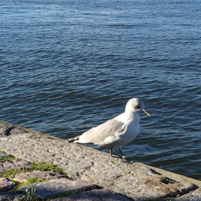 KARHU22901752's profile picture. 