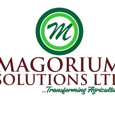 Magorium Solutions 💪🏻 XPLUS