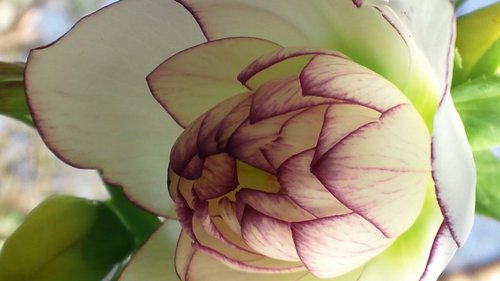 pamatomapa's profile picture. 