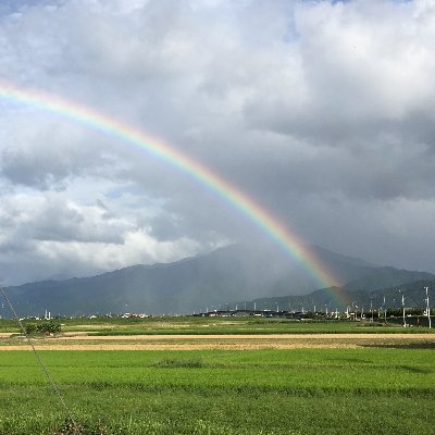 関西国際大学 教育学部所属。英語教育と研究に取り組んでいます。 このアカウントにおける発言は個人の見解であり、所属先とは一切関係ありません。#英語 #英語学習 #英語教育 #英語学 #第二言語習得研究 # #English #english #EdTech