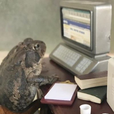 thefrogislord's profile picture. Creative Content Producer - Video, Copy & Design. Amphibious crypto lover #blockchain & #DeFi investor making an life unfrogettable experience!