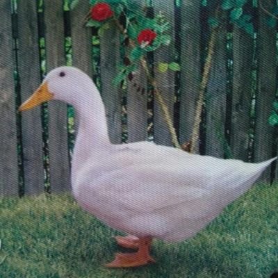 NPO法人あひるネットワーク会員。1級愛玩動物飼養管理士。交通事故で右手を失った猫こうちゃん15歳でお星様に。猫さん2匹、コールダック、カメレオン、フトアゴ、ホシガメ、合鴨、鶉、岩鷓鴣、カエル、ショウガラゴいます。ミニブタとグリーンイグアナ17歳でお星様に。役者しています。Yngwie Malmsteen 大好き♪