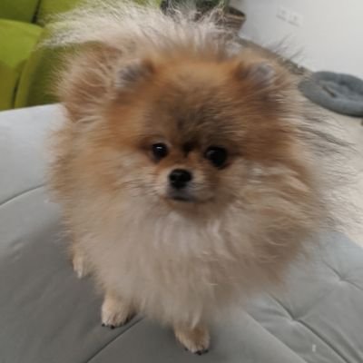 Aksmainerbit's profile picture. #bitcoin