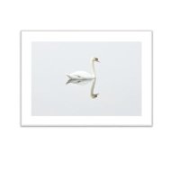 TheWhiteSwan (@swanampleforth1) 's Twitter Profile
