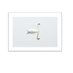 TheWhiteSwan (@swanampleforth1) Twitter profile photo TheWhiteSwan (@swanampleforth1) Twitter profile photo