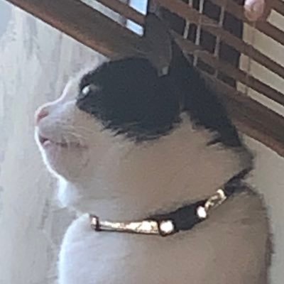 Nessfitz77's profile picture. 