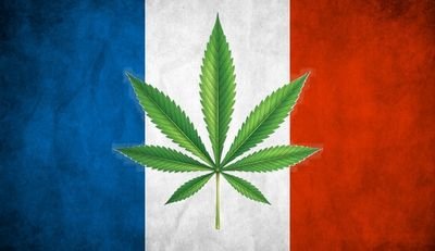 Compte pour promouvoir la légalisation du Cannabis en vue de l élection présidentielle de 2024. #FranceVerte #Legalisation2024