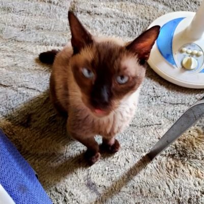 4AxTNfOOrRewkFU's profile picture. よろしく！