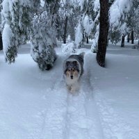 Jose Luis Izquierdo (@jlizquierdoa) 's Twitter Profile Photo