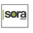 soragroup's profile image
