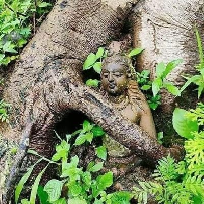 pritams16603268's profile picture. जो राष्ट्र हित की बात करेगा वो ही इस देश पे राज करेगा।