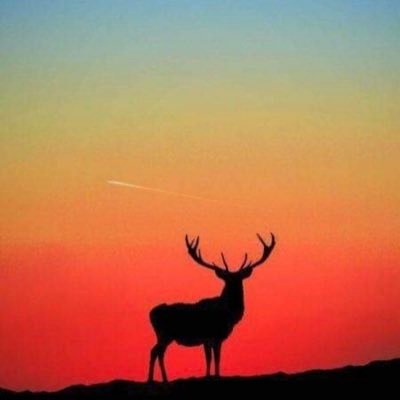 FzvVy's profile picture. متفاءل