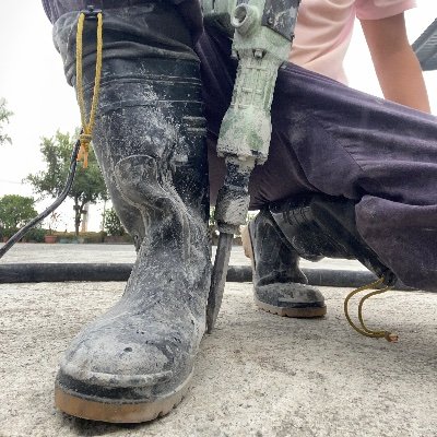 wcmfrank1's profile picture. 看看美好事物