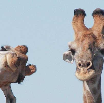 thebigissue2020's profile picture. New to twitter.. Norn Irish.. Views are my own.. Up for a debate