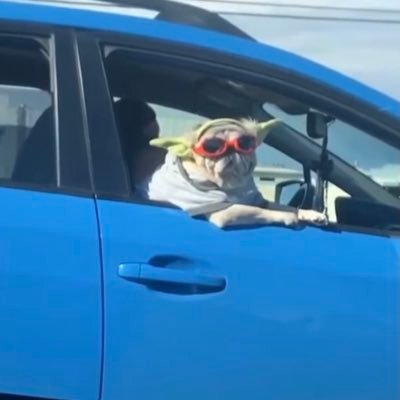 keepitsipmle's profile picture. No way