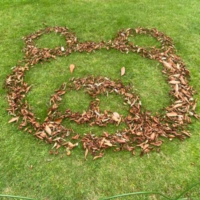 okay_MSW_'s profile picture. MSW