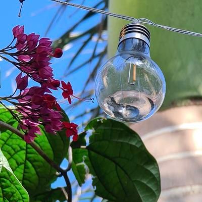 tutiaelefant's profile picture. ahhhh....bueno...