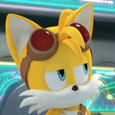 Hello everyone Tails here Sonic's best friend:). All the girls i know are very sexy ^^