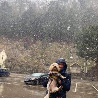 Laurie (@laurienickolls) 's Twitter Profile Photo