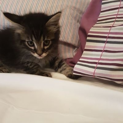 BitFun12's profile picture. 