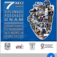 Diplomado de Ecografía de Cuidados Críticos(@ecocritico_UTIC) 's Twitter Profile Photo