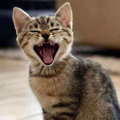 Optrix7's profile picture. I never take a trodden path