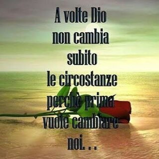 MariaMaselli9's profile picture. 