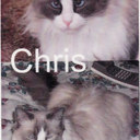 Bernice Ward - @nhkitty2005 - Twitter