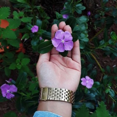 Positividade, já tem caos demais no mundo...🌼