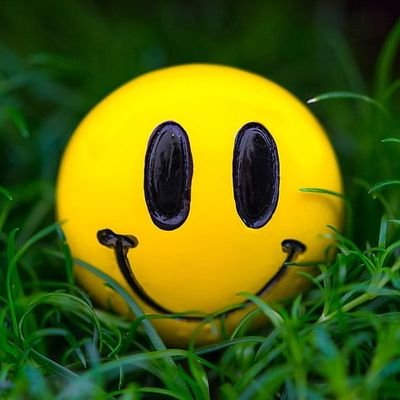 KAMALNA24633775's profile picture. 