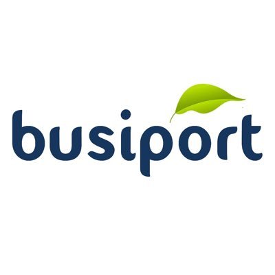 Busiport Infoservices Profile