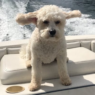 McfallsDani's profile picture. 