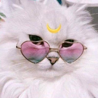 PixieOneshot's profile picture. Rainy
Narrative Designer, Writer
Falmouth Uni Game Dev Grad
Lover of Stories, Dreams and Characters. 
Peace & Love 💖

Banner by @Kathryb_