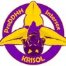 KRISOL_prodhi's profile picture. Grupo de apoyo pro DD.HH. #Intersex AA.AA.
Luchamos por el respeto y dignidad de las personas, la visibilización positiva, la educación y una política justa.