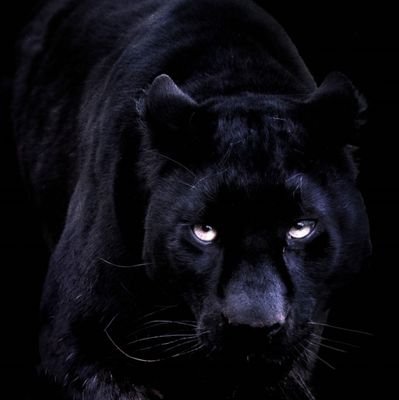 Aldrinrejith1's profile picture. 