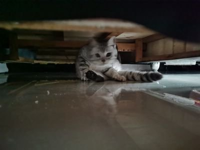 赵四さんのプロフィール画像
