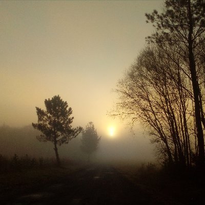 cendan_mary's profile picture. Vive y deja vivir.