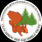 Clocaenog Red Squirrels Trust (CRST) is a fully constituted voluntary group and registered charity which aims to help protect red squirrels in Clocaenog Forest.