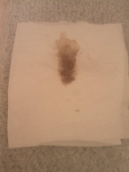 ThePoopDiary's profile picture. 