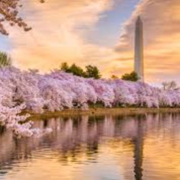 Amalalq16772668's profile picture. CS Ph.D. student @gwengineering , Inventor, Interested in NLP, ML, Social Media Mining, and Mental Health. Personal account