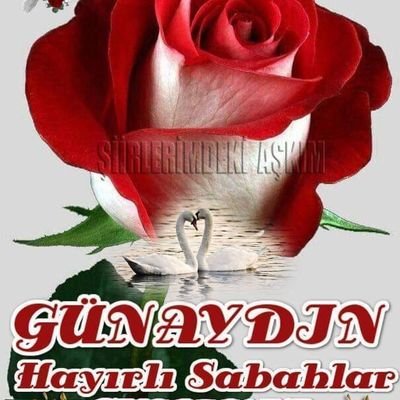 Tüm Dünya insanlarliyla diyaloğu tanışmayı ve yenilikleri insanları seven deger veren sevgi ve saygıyı ön planda tutan bir arkadaşınızım.