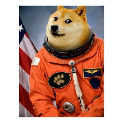 DIAMOND HAND DOGEGANG ONLY 💎🙌🚀🚀🚀🦍🛸🛸🌑 DOGE TO THE MOON