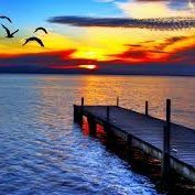 halil3469211637's profile picture. güzel ilişkiler için tanışmak istiyorum yalansız ve dürüstçe ben tekim istanbul yaşım 52 anadolu yakası ikame