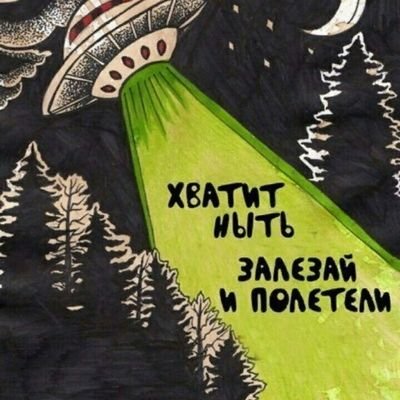 инопланетная пчела bzz~ (@AnastasSanben)