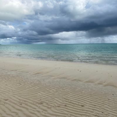 lion_paw24's profile picture. Is this really happening?