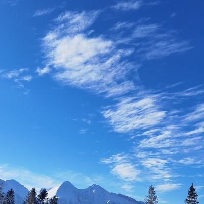 360Lach's profile picture. #techfan, Huawei & Oneplus
basketballplayer