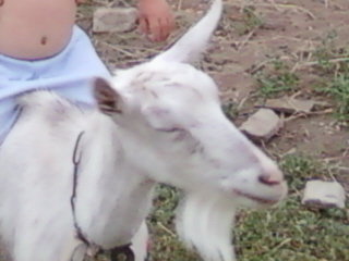 yaroslovebyka's profile picture. 