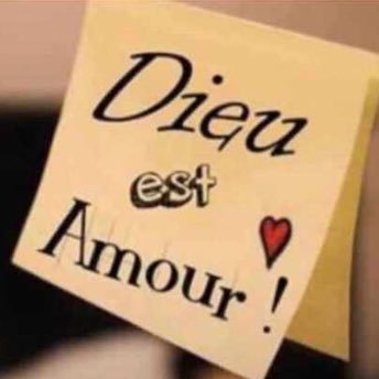 mariegr94122174's profile picture. Chien mange pas chien j’aime les chiens et les chats