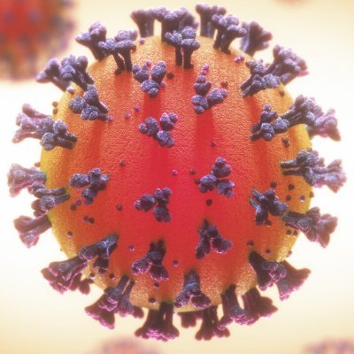 Live Corona Virus Data