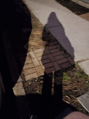 c99_l's profile picture. LI 💛